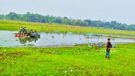 ডাকাতিয়া নদীতে ড্রেজার দিয়ে বালু ও মাটি উত্তোলনের মহোৎসব