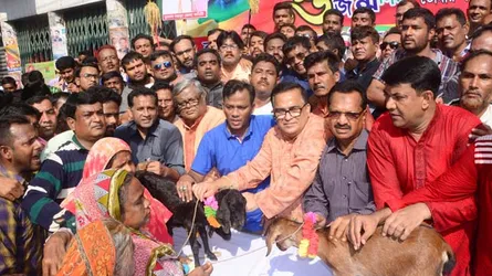 ধানের শীষের জোয়ার দেখে আ’লীগের মাথা খারাপ হয়ে গেছে