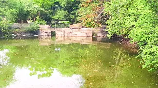 কালিগঞ্জের ধলবাড়িয়ায় সরকারি খাল দখল