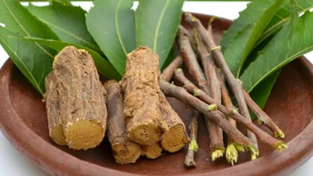 দাঁতের যত্নে ভেষজ
