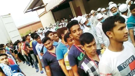 নির্বাচনে তরুণ ভোটারেরা কোন পথে?