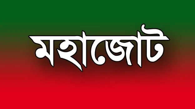 মহাজোটে মহাজট, বিদ্রোহী প্রার্থীর ছড়াছড়ি