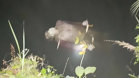 সাতক্ষীরায় পুকুর থেকে অজ্ঞাত বৃদ্ধের লাশ উদ্ধার