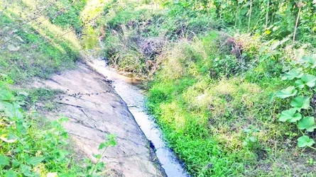 মিরসরাইয়ে ভরাট হয়ে যাচ্ছে অর্ধশতাধিক ছড়া-খাল