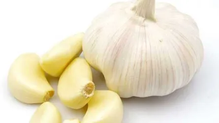 স্বাস্থ্য সুরক্ষায় রসুন
