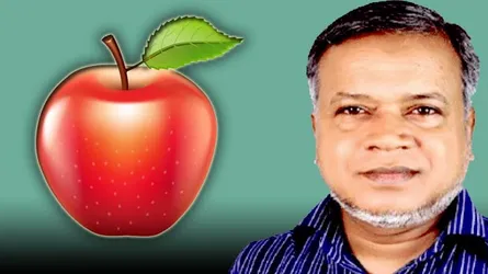 আপেল প্রতীক পেলেন জামায়াতের নুরুল ইসলাম বুলবুল