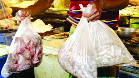 নিষিদ্ধ পলিথিন ব্যবহার বাড়ছেই