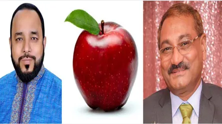 আপেলে বিপত্তি নৌকা আর লাঙ্গলের!