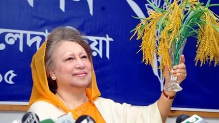সারা দেশে ধানের শীষের জোয়ার