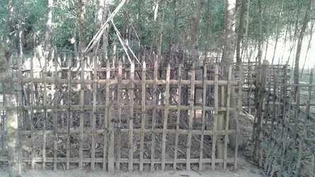 কবর খুড়ে ১১টি কঙ্কাল চুরি!