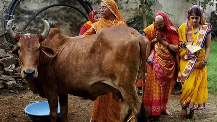 ভারতে গরুকে রাষ্ট্রমাতা ঘোষণার বিল পাস