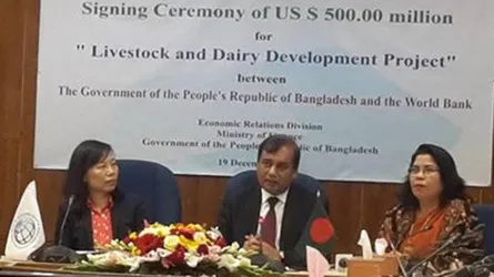 প্রাণীসম্পদ উন্নয়নে ৫০ কোটি ডলার ঋণ দিচ্ছে বিশ্বব্যাংক