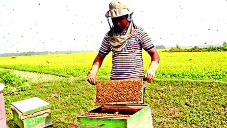 ফুলে ফুলে মধু
