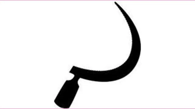 নির্বাচন ও ফলাফল প্রত্যাখ্যান বাম জোটের