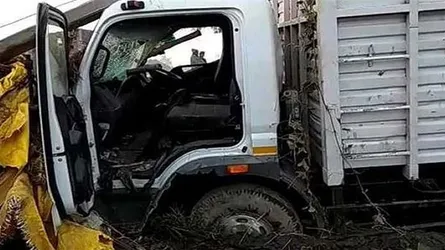 ভারতে ট্রাক চাপায় একই পরিবারের ৮জন নিহত
