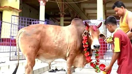 মন্দিরের ‘মহাদেবকে’ বিষপানে হত্যার অভিযোগ