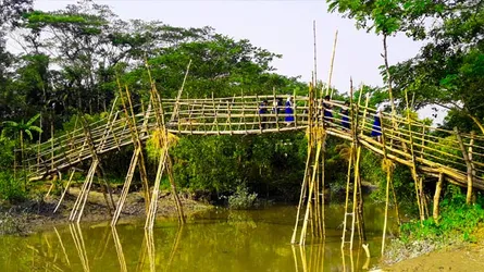 পটুয়াখালীতে সাঁকো দিয়ে ঝুঁকি নিয়ে শিক্ষার্থীদের পারাপার