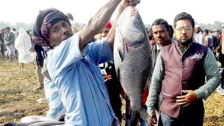 মাছের মেলায় জামাই-শ্বশুরের প্রতিযোগিতা