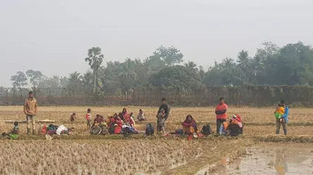 কসবা সীমান্তে ৩১ রোহিঙ্গাকে পুশব্যাকের চেষ্টা
