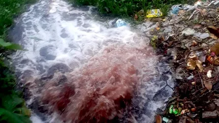 কারখানার বিষাক্ত বর্জ্যে ৩০ গ্রামের মানুষের জীবন বিপন্ন