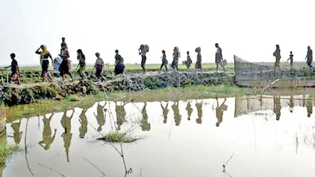 ঢাকার রোহিঙ্গা ডিলেমা