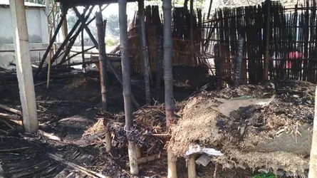 ঈশ্বরগঞ্জে আগুন পুড়ে গেছে ৬ গরু : উদ্ধার করতে গিয়ে দগ্ধ মালিক