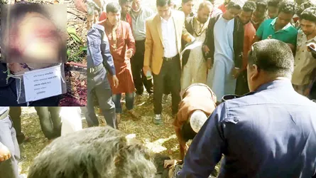 সাবধান! হারকিউলিস
