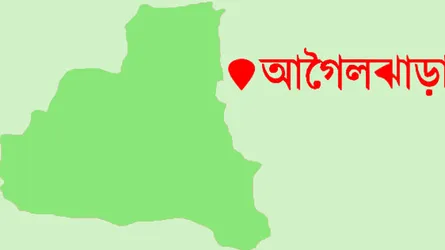 ধর্ষণের চেষ্টার অভিযোগে শ্বশুর আটক