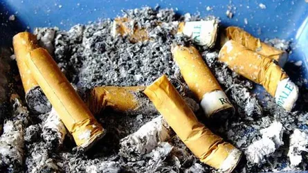 শত বছর না হলে খাওয়া যাবে না সিগারেট