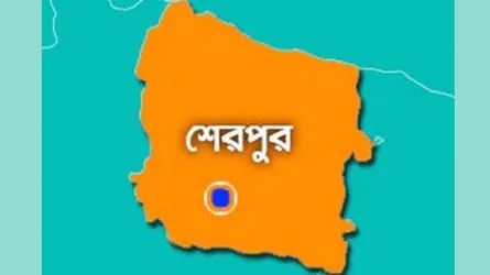 কোথায় আছে ফারিয়া