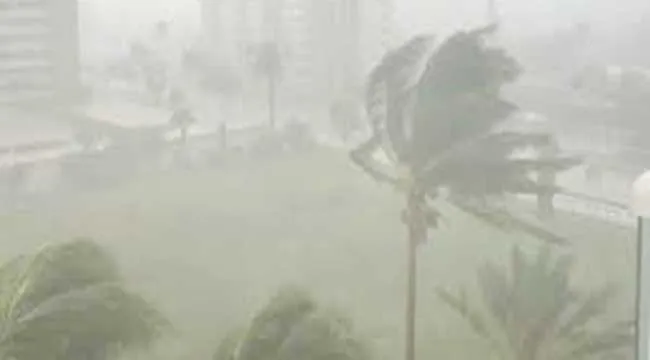 সিডনিতে তীব্র ঝড় : বিদ্যুৎবিহীন হাজার হাজার লোক