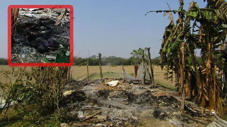 আদিম বর্বরতা, বিধবাকে নৃশংসভাবে পুড়িয়ে হত্যা!