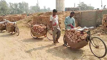 সংসার চালাতে বাইসাইকেলই সম্বল
