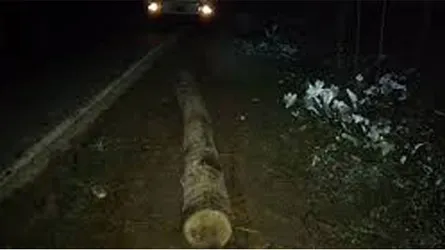 গফরগাঁওয়ে সড়কে ব্যারিকেড দিয়ে গণডাকাতি