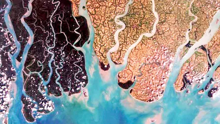 ডেল্টা প্লানের সংশোধন অপরিহার্য