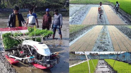 কৃষিতে প্রযুক্তির ছোঁয়া