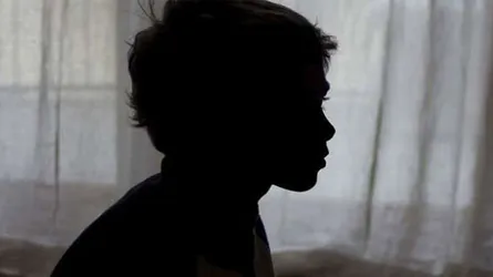 ৯ বছরের বালককে ধর্ষণ মধ্যবয়স্ক নারীর