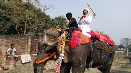 উপজেলা নির্বাচন : হাতির পিঠে চড়ে প্রার্থীর মনোনয়নপত্র দাখিল