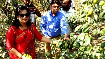 যেন আলাদিনের চেরাগ খুঁজে পেলেন সিরাজ খান!