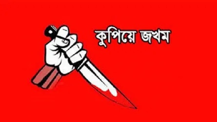আগৈলঝাড়ায় মা-ছেলেকে কুপিয়ে জখম
