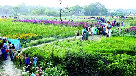 না’গঞ্জে ফুলচাষে ১০ হাজার মানুষের কর্মসংস্থান