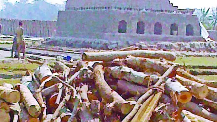 কাউখালীতে জনবসতিতে ভাটায় পোড়ানো হচ্ছে কাঠ