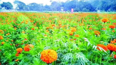 ফুলের গ্রাম
