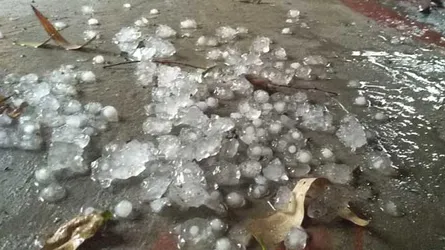 অসময়ে পড়ল বড় বড় শিল!