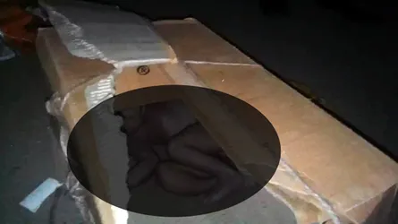 রামগঞ্জে খাল থেকে কার্টনে মোড়ানো নবজাতকের লাশ উদ্ধার