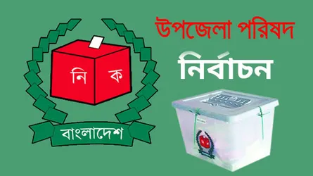 সিরাজগঞ্জে আ’লীগ সভাপতি নৌকা ছেড়ে ভোট চাইছেন আনারসে!