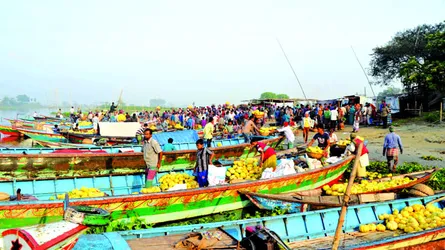 বাঙ্গির গ্রাম ভাঙাভিটা