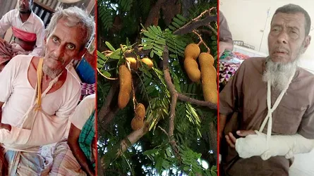 গাছের তেতুল নিয়ে দুই পক্ষের মারামারি, অতঃপর.....