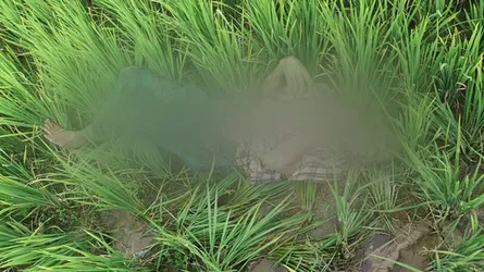 কেশবপুরে ধানক্ষেত থেকে উদ্ধার লাশের পরিচয় পাওয়া গেছে