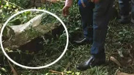বাক্সের ভেতর কাটা পায়ের ৩ টুকরা, বাকী অংশ কোথায়?